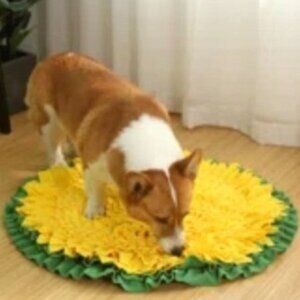 Snuffle Mat Dogs Hunt Mat Mental Stimulation Dog Mat